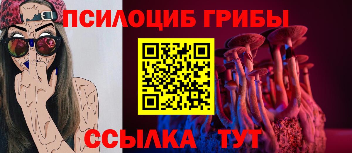 Псилоцибиновые грибы GOLDEN TEACHER Владивосток